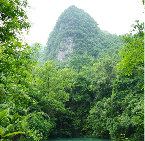 賞華夏大地，游多彩貴州-－2021年廣東博皓快樂行-2