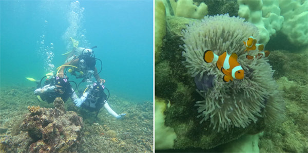 暢游碧海藍天，共筑團隊夢想—博皓沙巴風情之旅        -4