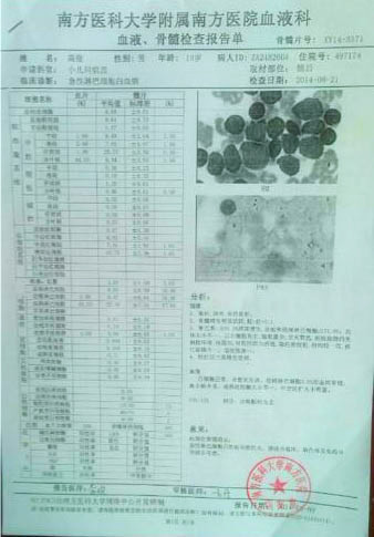 高俊的血液、骨髓檢查報告單